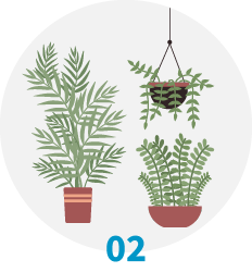 ImageCraftで処理できる植物のイメージ