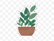 背景を切り取った植物