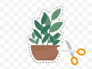 植物の背景を切り取っている様子